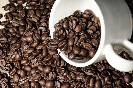 roasted coffee beans in white coffee cup thumbnail