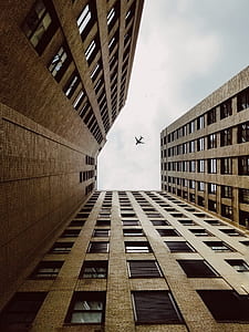 low angle photography of gray high-rise building and airplane thumbnail