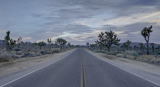 view of gray road thumbnail