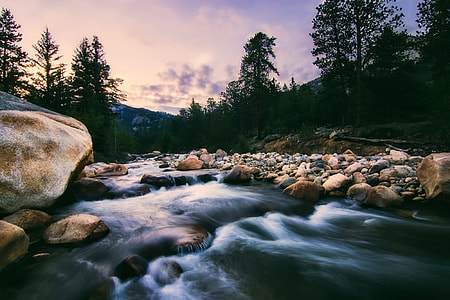 river surrounded by trees thumbnail
