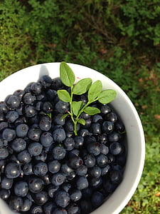 blueberries in white ceramic bowl thumbnail