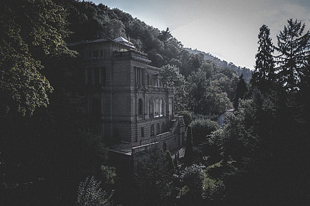 gray concrete mansion on forest thumbnail
