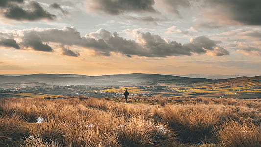 person walking in field thumbnail