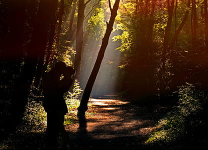 silhouette of man and woman near trees thumbnail
