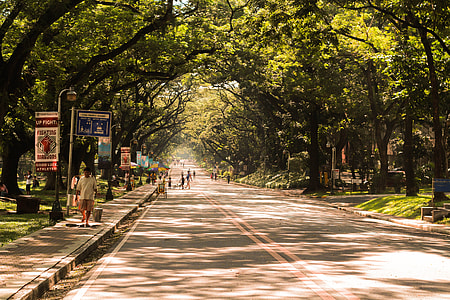 Street with trees and people in Manila, Philippines thumbnail