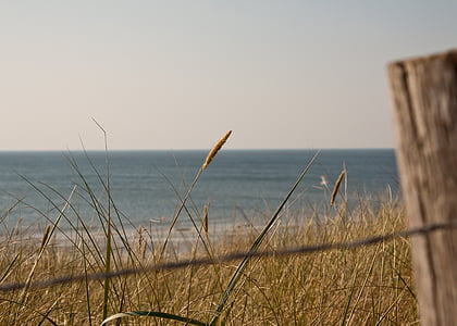 beach at daytime thumbnail