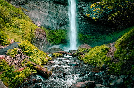 wood, landscape, nature, water thumbnail