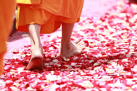 person stepping on red flower petals thumbnail