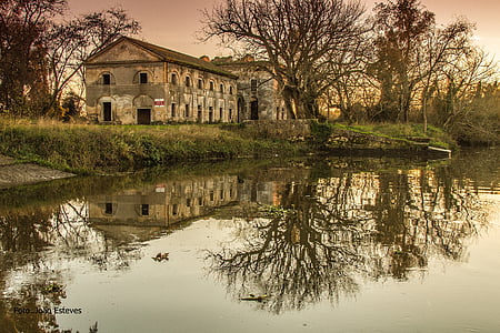 brown concrete building near body of water and forest thumbnail