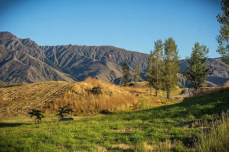 trees near hills and mountains thumbnail