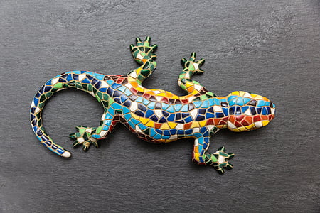 multicolored lizard thumbnail