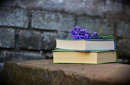 purple flowers on top of blue and green covered books thumbnail