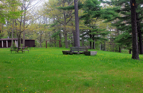 Bench with grassy field at Council Grounds State Park, Wisconsin thumbnail