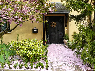 fallen sakura leaves near doorway thumbnail