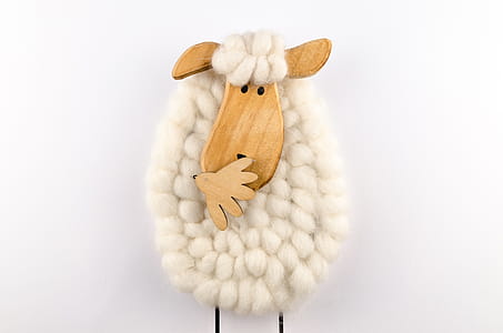 Cotton Lamb Artwork thumbnail