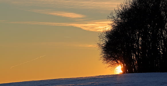silhouette of trees during sunset thumbnail