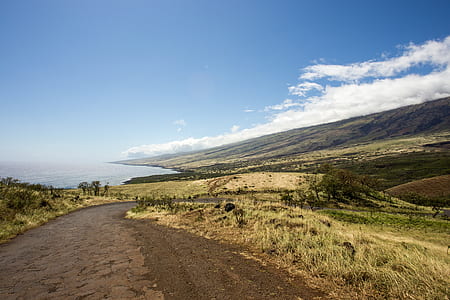 dirt road and grass field thumbnail