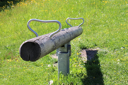 brown tree log seesaw on grass lawn thumbnail