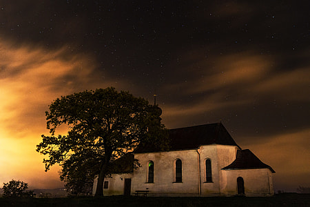 silhouette of tree in front of house during golden hour thumbnail