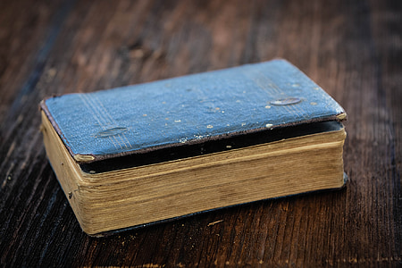 blue hard cover book on brown wooden surface thumbnail