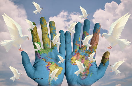 blue and green painted palms with white doves clip art thumbnail