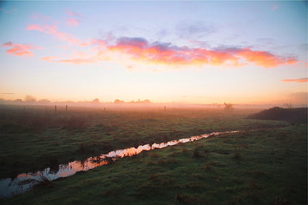 body of water across green plants thumbnail