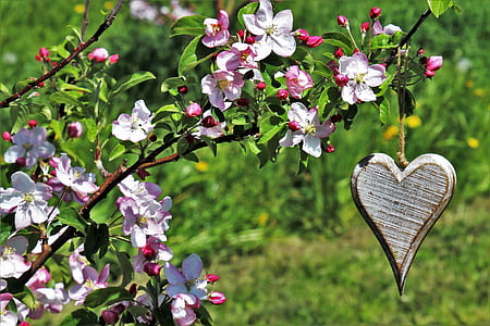 brown wooden heart ornament hanging on pink blossoms thumbnail