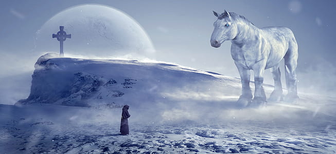 white horse on snow thumbnail