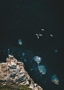 aerial photography of five white boats on blue body of water beside rocky mountain thumbnail