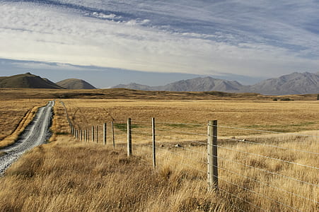 rail on field under white sky thumbnail