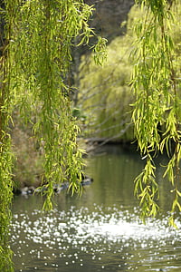 close-up photo of body of water thumbnail