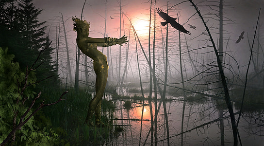 green woman on a swamp during foggy day with girds in the sky thumbnail