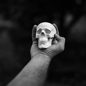 person holding human skull miniature thumbnail