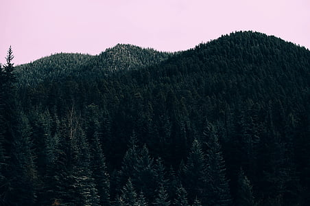 green tree covered mountain during daytime thumbnail