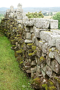 gray brick wall near trees thumbnail