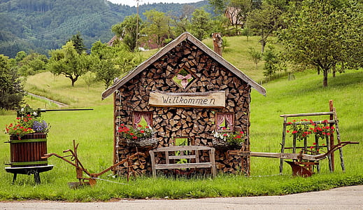 wood, landscape, vacation, flowers thumbnail
