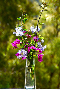 shallow focus photo of pink and purple flowers in glass vase thumbnail
