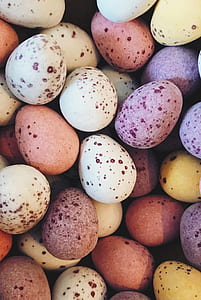 assorted-color egg lot thumbnail