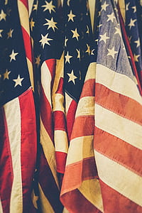 flag of United States of America thumbnail