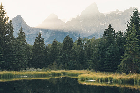 Landscape shot of lake, forest and mountains in the USA thumbnail