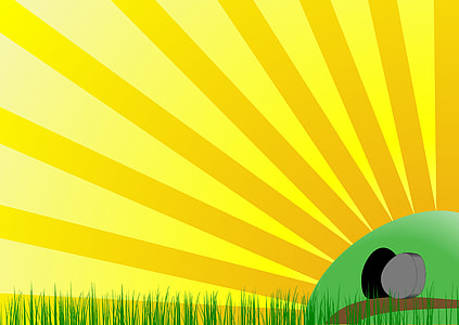 sunset and green grass wallpaper thumbnail