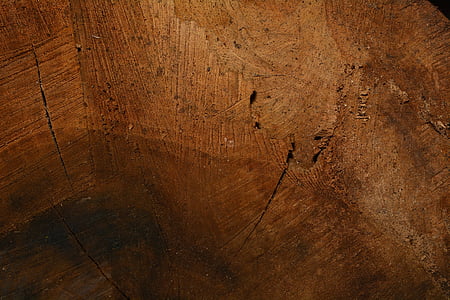 wood, structure, wood fibres, wood grain, close, texture thumbnail
