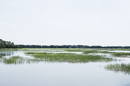 flooded field photo thumbnail