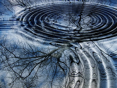 reflection of tree thumbnail