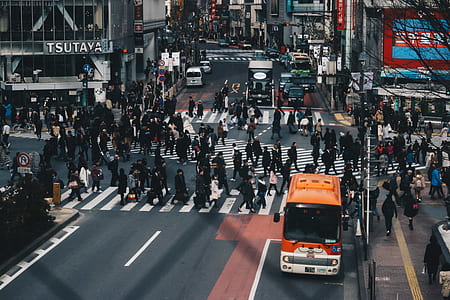 people crossing pedestrian lane thumbnail
