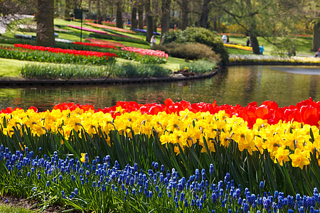photograph of flowers near body of water during daytime thumbnail
