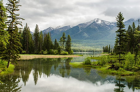 body of water near forest away from mountain during cloudy day photo thumbnail