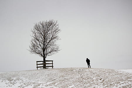 A figure and a tree on a snowy hill with foggy background thumbnail