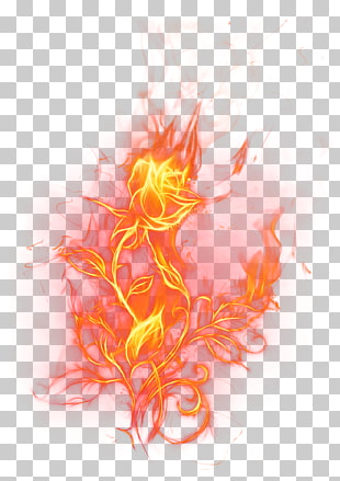 Fire , Transparent Fire Rose , fire illustration PNG clipart