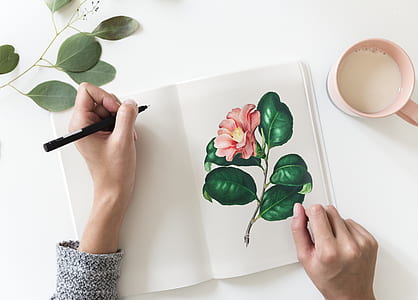 pink petal flower drawing beside cup of milk thumbnail